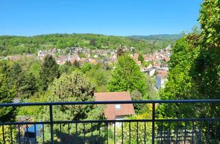 Einfamilienhaus kaufen in 69245 Bammental, Einfamilienhaus mit unverbaubarem Traumausblick