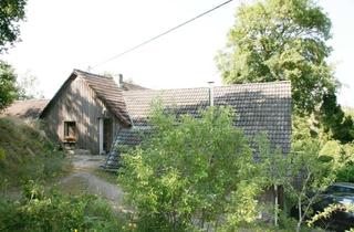 Mehrfamilienhaus kaufen in Freilinger Mühle, 53945 Blankenheim, Seltene Gelegenheit: Mehrfamilienhaus mit 4 Wohnungen auf 9.865 m² in einzigartiger Naturlage am Ort