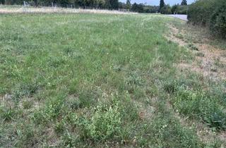 Grundstück zu kaufen in 71277 Rutesheim, Gartengrundstück zu verkaufen