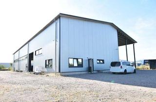 Gewerbeimmobilie kaufen in 59399 Olfen, Zukunftsweisender Unternehmensstandort: Lichtdurchflutete Industriehalle mit Büro- und Sozialtrakt