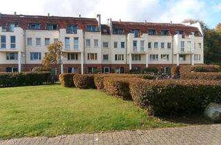 Wohnung kaufen in 21339 Lüneburg, Lüneburg - 1-Zimmerwohnung in Volgershall 5 zum Kauf