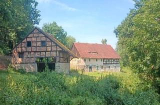 Haus kaufen in 02827 Görlitz, Görlitz - Fachwerkhaus auf 2.900m² am Waldrand - Alleinlage.Niederschledsen