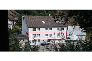 Wohnung kaufen in 78730 Lauterbach, Lauterbach - zwei ETW 78730 Lauterb. o.Makler, gt. Zustand, vermietet 5 % plus