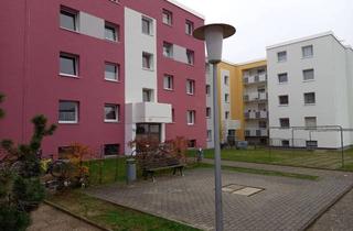 Wohnung mieten in Mühlbergstraße 59, 64319 Pfungstadt, Gut geschnittene 3-Zimmer-Wohnung in Pfungstadt