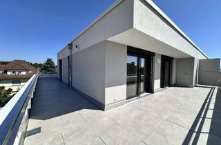 Penthouse mieten in 88045 Friedrichshafen, Exklusive 2,5- Zimmer- Penthouse-Wohnung mit herrlichem Alpen- und Seeblick