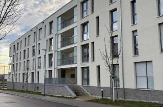 Wohnung mieten in Werastraße 22/1, 71088 Holzgerlingen, Holzgerlingen, Neubau 2021, 4-Zimmer-Wohnung