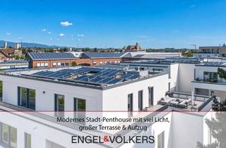 Penthouse mieten in 76829 Landau, Modernes Stadt-Penthouse mit viel Licht, großer Terrasse & Aufzug
