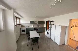 Wohnung mieten in 88433 Schemmerhofen, Moderne 4-Zimmer-Souterrainwohnung – wahlweise möbliert, sofort bezugsfer