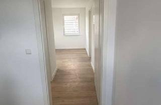 Wohnung mieten in Schillerstr 12, 68549 Ilvesheim, Moderne 2-Zimmer Wohnung im Dachgeschoss