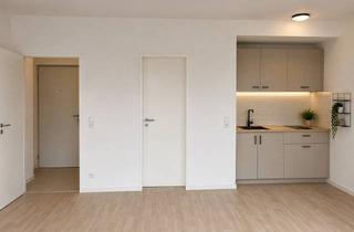 Wohnung mieten in Heidestraße 10, 65582 Diez, Ruhige, hochwertig renovierte Souterrain-Wohnung mit eigener Terrasse und Gartenzugang