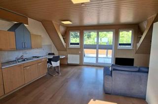 Wohnung mieten in 33014 Bad Driburg, Ruhige 1-Zimmer-Wohnung mit großem Balkon und Blick ins Grüne, EBK