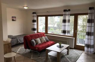 Wohnung mieten in Am Entensee, 63075 Bürgel, 1-Z. Apartment, möbliert, eigenes Badezimmer, Balkon, Terrasse / Küche u. Garten zur Mitnutzung