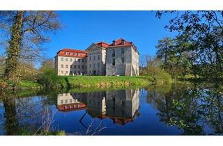 Gewerbeimmobilie kaufen in 39343 Bartensleben, Schloss - Bartensleben - Barockschloss als Hotel oder Residenz