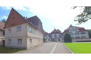 Haus kaufen in 88299 Leutkirch, MFH Projekt für 9 ETW mit Schloßblick (Denkmal-Afa Objekt)