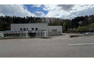 Gewerbeimmobilie kaufen in Zeppelinstraße 146, 66953 Pirmasens, Gewerbehalle mit Büro