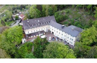Anlageobjekt in 91235 Hartenstein, Historisches Anwesen mit vielseitigen Nutzungspotential | 33.600 m² Grundstück | Fränkische Schweiz