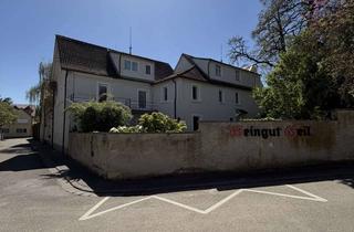 Grundstück zu kaufen in Mittelstraße 14, 55278 Eimsheim, Historisches Weingut sucht neuen Eigentümer