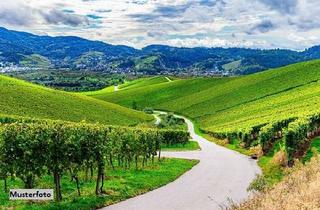 Grundstück zu kaufen in Kappenellernteile, 97792 Riedenberg, Landwirtschaftsfläche - provisionsfrei