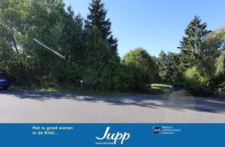 Grundstück zu kaufen in 54584 Jünkerath, Baugrundstück mit viereckigem Zuschnitt, Jünkerath (53)