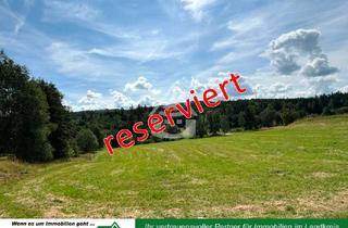 Grundstück zu kaufen in 95691 Hohenberg, Schönste Aussicht im Fichtelgebirge