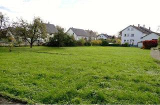 Grundstück zu kaufen in 76477 Elchesheim-Illingen, 2 Baugrundstücke in Ortsmitte