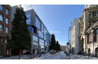 Büro zu mieten in Gänsemarkt, 20354 Neustadt, GÄNSEMARKT | ab 10m² bis 800m² | skalierbare Bürogröße | PROVISIONSFREI