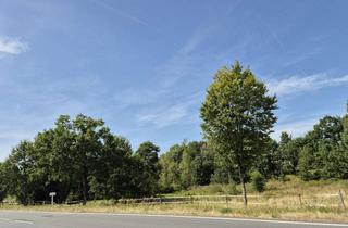 Gewerbeimmobilie kaufen in 37170 Uslar, * Naturidyll an der Ahle: 1,3 ha Freizeitgrundstück an der B 241- mit Zufahrt bei Uslar- Sohlingen *