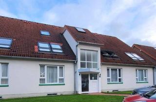 Wohnung mieten in Otto-Wels-Str. 34, 33102 Paderborn, Frisch renoviertes 1-Zimmer-Appartement zu vermieten