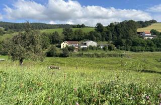 Bauernhaus mieten in Obere Ortsstraße 15, 64743 Beerfelden, Seltene Gelegenheit: Bauernhofanwesen mit 3.500 m² Grundstück und 800 m² Nebengebäuden
