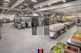 Gewerbeimmobilie mieten in 24539 Wittorf, Bis zu 2.000 m² teilbare Lagerhalle/Kantine – Ideal für Großküche / Produktionsküche in Neumünster
