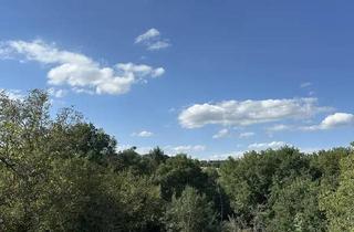 Grundstück zu kaufen in August-Roßwag-Straße xx, 76327 Pfinztal, Wald- & Wiesengrundstück (Provisionsfrei +Verhandlungsbasis)