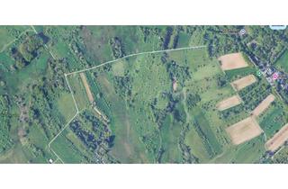 Grundstück zu kaufen in 61348 Bad Homburg, Aufgepasst Sammler und Jäger eine absolute Rarität Grundstück im Kirdorf Feld