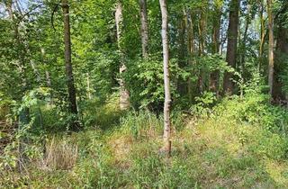 Gewerbeimmobilie kaufen in 85098 Großmehring, 1.290 m² Waldgrundstück in Großmehring – schmale, langgezogene Fläche mit bestehendem Baumbestand