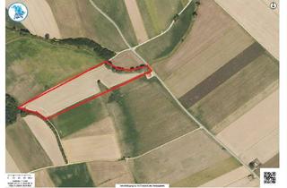 Gewerbeimmobilie kaufen in 82205 Gilching, Landwirtschaftliches Grundstück im Bereich der Gemeinde Gilching ("Klingelberg")