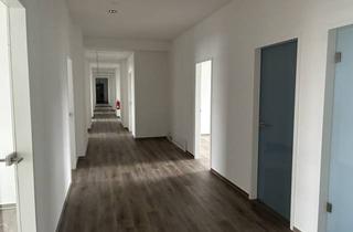 Büro zu mieten in Katharinenstraße, 10711 Berlin, Ruhige Bürogemeinschaft mit Ingenieurbüros in Berlin