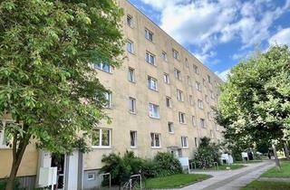 Wohnung mieten in Otto-Von-Guericke-Straße 37, 19063 Schwerin, 2-Raum Erdgeschosswohnung ab September 2026 zu vermieten.