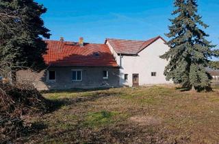 Bauernhaus kaufen in 04928 Plessa, Plessa - Bauernhof,Scheune,12ha Acker,Wiese,Wald 2x Baugrund a 1000qm