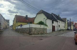 Einfamilienhaus kaufen in 06425 Alsleben, Alsleben (Saale) - Einfamilienhaus