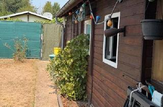 Haus kaufen in 65428 Rüsselsheim, Rüsselsheim am Main - Schrebergarten (ca. 230 m²) mit gemütlicher Gartenhütte