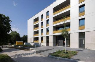 Wohnung mieten in Kastanienallee 51, 12627 Hellersdorf, Exklusive Studentenwohnung – Stilvoll und komfortabel