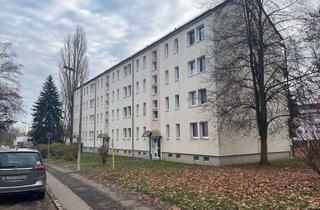 Wohnung mieten in Dr.-Wilhelm-Külz-Straße, 08060 Marienthal, Einfach ankommen in Marienthal – helle 1-Zimmer-Wohnung, EBK optional, sofort bezugsfertig