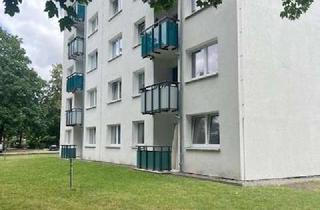 Wohnung mieten in Beethovenstr. 27, 21502 Geesthacht, Mitten drin statt nur dabei: individuelle 2-Zimmer-Wohnung