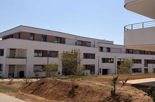 Wohnung mieten in Ströllerbachallee 52, 74613 Öhringen, 2,5 Zimmer Neubauwohnung barrierefreie mit Garten und Terrasse in Limespark
