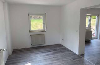 Wohnung mieten in 67722 Winnweiler, RENOVIERTES 1-PERSONEN-EG-APARTMENT MIT TERRASSE IN RUHIGER LAGE!