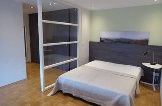 Wohnung mieten in Lehrenweg 25b, 88709 Meersburg, großzügige 1-Zimmer-Wohnung, teilmöbliert mit Balkon und Einbauküche in Meersburg