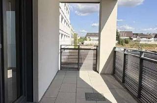 Wohnung mieten in Stadion-Anlage, 68782 Brühl, Grüne Mitte Brühl - Neubau: Helle 3-Zimmer-Wohnung mit Balkon und Küche