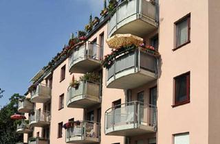 Wohnung mieten in Wehrpromenade 12, 03042 Sandow, Sanierte 2-Raum Wohnung