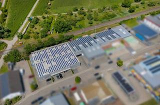 Lager kaufen in 76744 Wörth, Renditestarke Gewerbeimmobilie mit Vollvermietung in Wörth am Rhein.