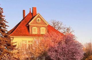 Haus kaufen in Festungsstraße 13, 34613 Schwalmstadt, Jugendstilhaus von 1913 in zentraler Lage mit großem Garten.