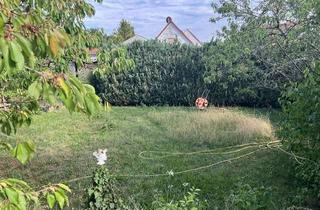 Einfamilienhaus kaufen in Unterschöllenbacherhauptstrasse 28, 90542 Eckental, Einfamilienhaus mit viel Platzreserve in Eckental